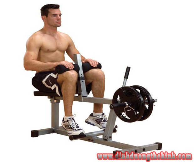 Bài tập thể hình cơ bản cho ngươi mới tập