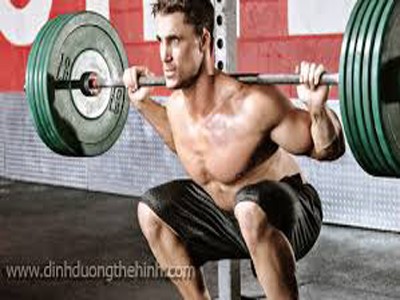Bài tập thể hình cơ bản cho ngươi mới tập