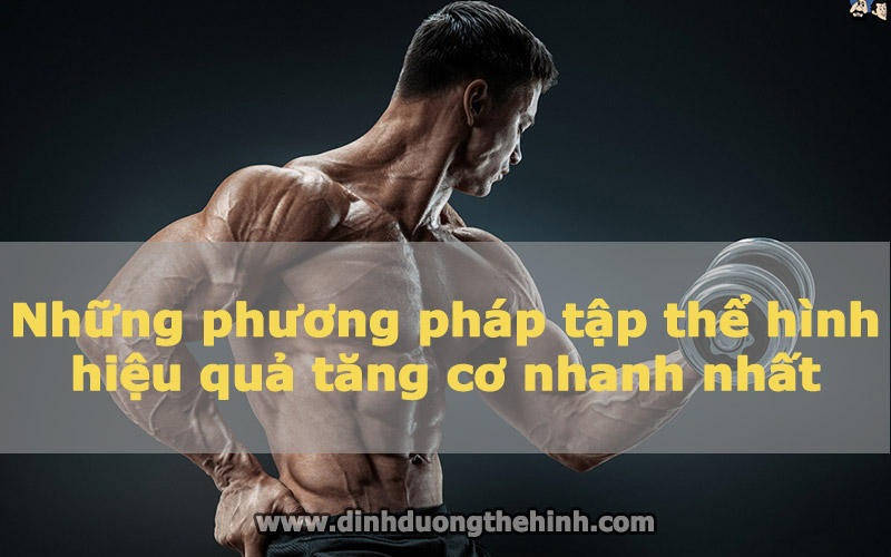 Những phương pháp tập thể hình hiệu quả tăng cơ nhanh nhất