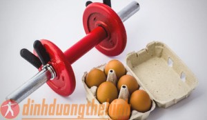 tac dung trung ga tac dung trung ga