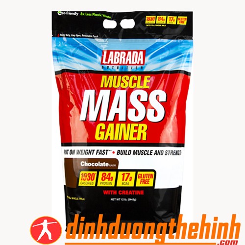 Muscle Mass Gainer Muscle Mass Gainer