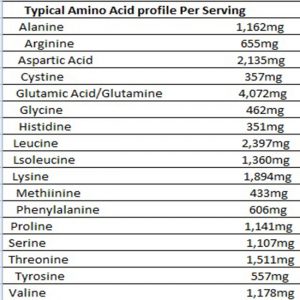 100% Whey Protein DNI 5lbs