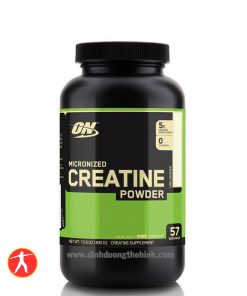 ON Creatine Powder 300g